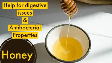 honey help for digestive and antibacterial properties for weight gain